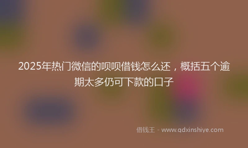 2025年热门微信的呗呗借钱怎么还，概括五个逾期太多仍可下款的口子