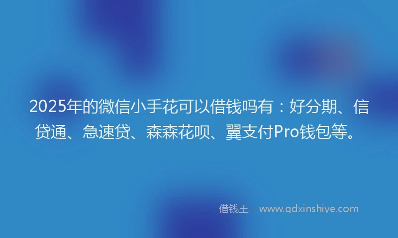 2025年的微信小手花可以借钱吗有：好分期、信贷通、急速贷、森森花呗、翼支付Pro钱包等。