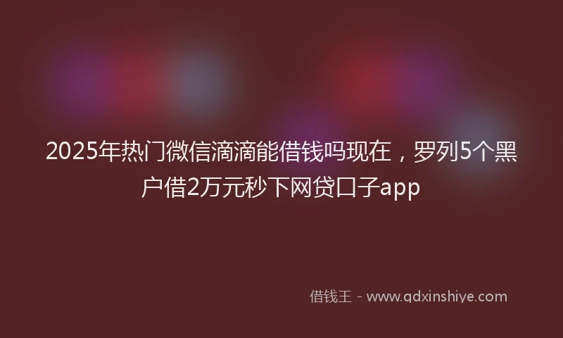 2025年热门微信滴滴能借钱吗现在，罗列5个黑户借2万元秒下网贷口子app