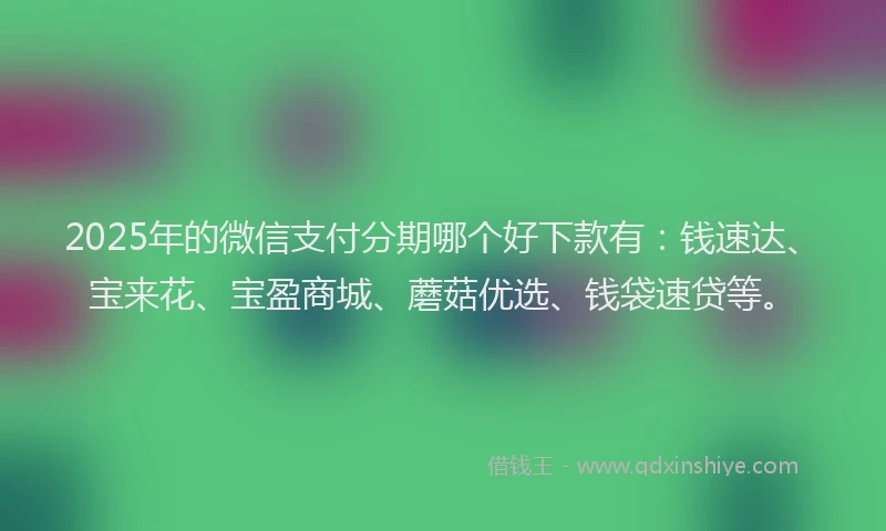 2025年的微信支付分期哪个好下款有：钱速达、宝来花、宝盈商城、蘑菇优选、钱袋速贷等。