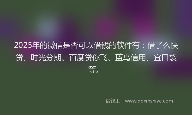 2025年的微信是否可以借钱的软件有：借了么快贷、时光分期、百度贷你飞、蓝鸟信用、宜口袋等。