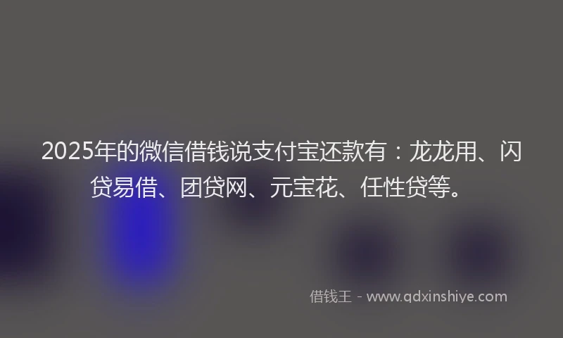2025年的微信借钱说支付宝还款有：龙龙用、闪贷易借、团贷网、元宝花、任性贷等。