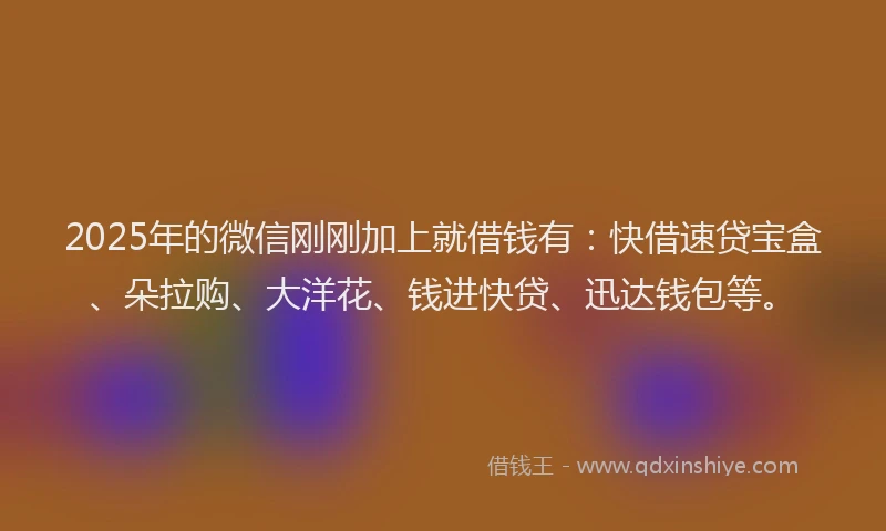 2025年的微信刚刚加上就借钱有：快借速贷宝盒、朵拉购、大洋花、钱进快贷、迅达钱包等。