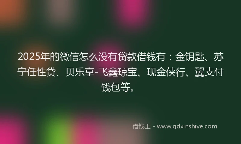 2025年的微信怎么没有贷款借钱有：金钥匙、苏宁任性贷、贝乐享-飞鑫琼宝、现金侠行、翼支付钱包等。