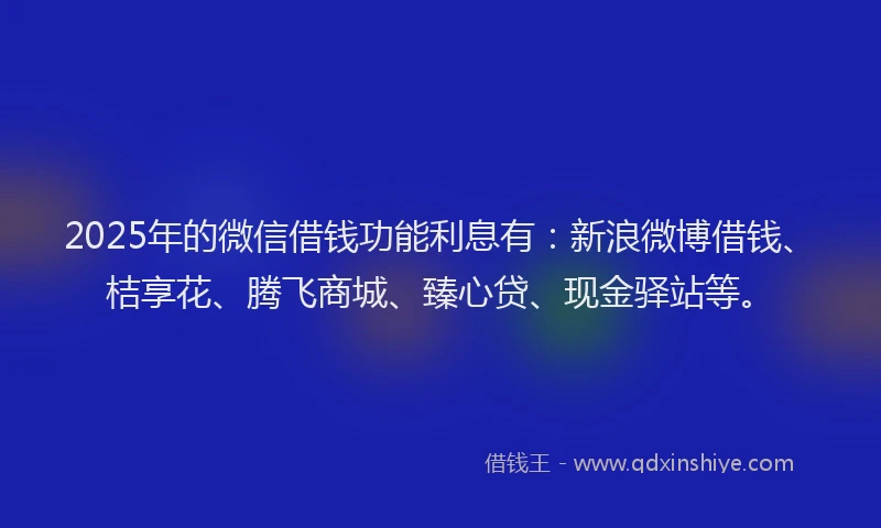 2025年的微信借钱功能利息有：新浪微博借钱、桔享花、腾飞商城、臻心贷、现金驿站等。