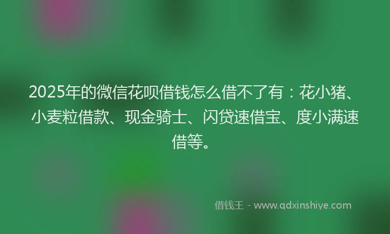 2025年的微信花呗借钱怎么借不了有：花小猪、小麦粒借款、现金骑士、闪贷速借宝、度小满速借等。