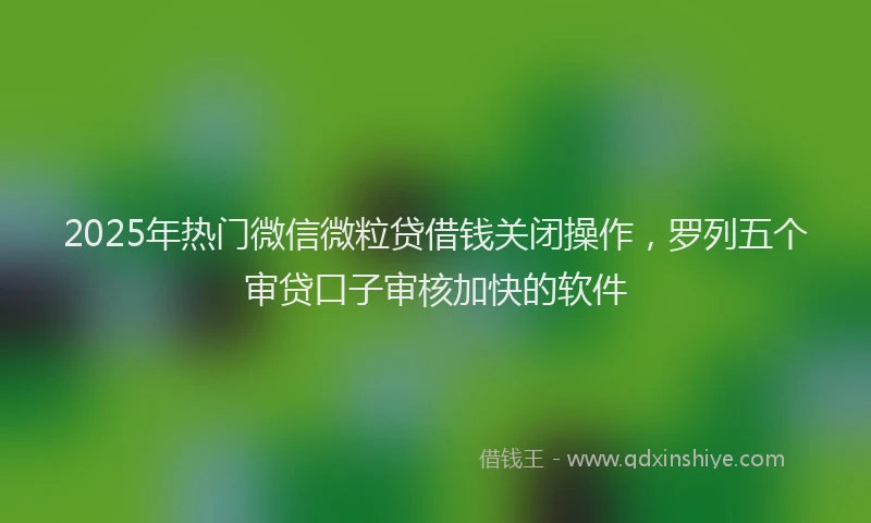 2025年热门微信微粒贷借钱关闭操作，罗列五个审贷口子审核加快的软件