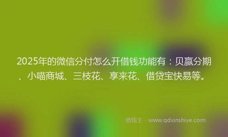 2025年的微信分付怎么开借钱功能有：贝赢分期、小喵商城、三枝花、享来花、借贷宝快易等。