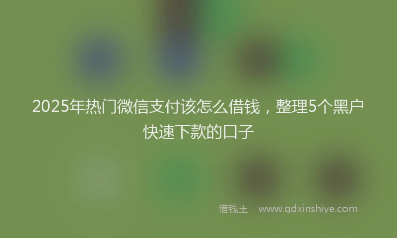 2025年热门微信支付该怎么借钱，整理5个黑户快速下款的口子