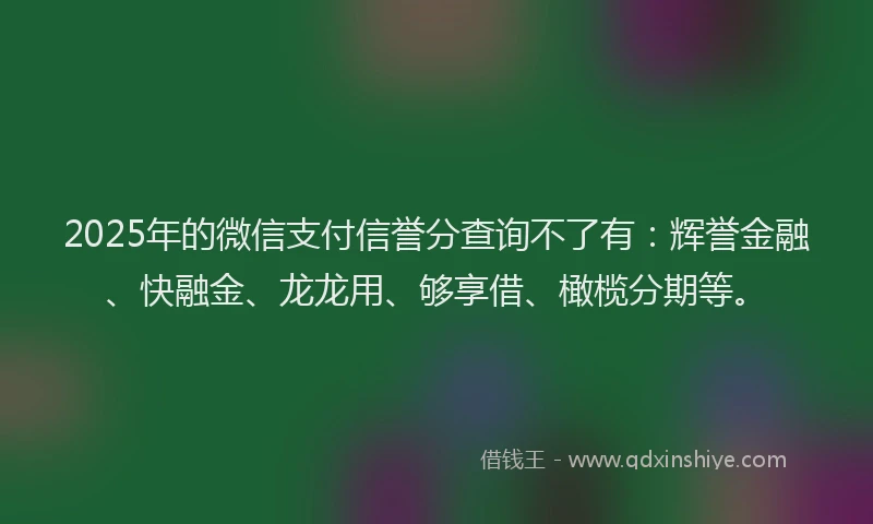 2025年的微信支付信誉分查询不了有：辉誉金融、快融金、龙龙用、够享借、橄榄分期等。