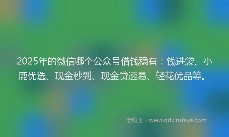 2025年的微信哪个公众号借钱稳有：钱进袋、小鹿优选、现金秒到、现金贷速易、轻花优品等。