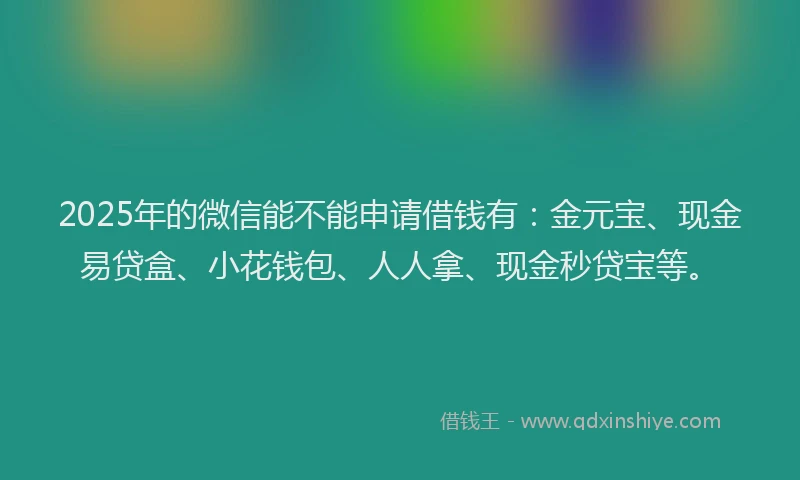 2025年的微信能不能申请借钱有：金元宝、现金易贷盒、小花钱包、人人拿、现金秒贷宝等。