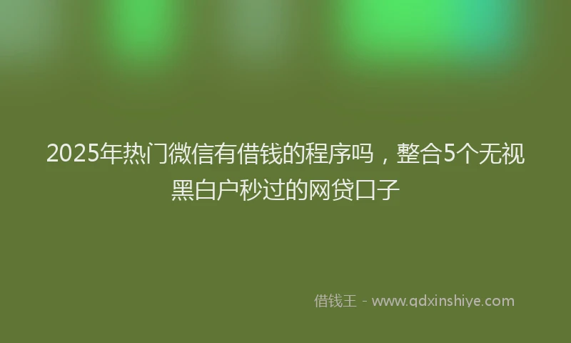 2025年热门微信有借钱的程序吗，整合5个无视黑白户秒过的网贷口子