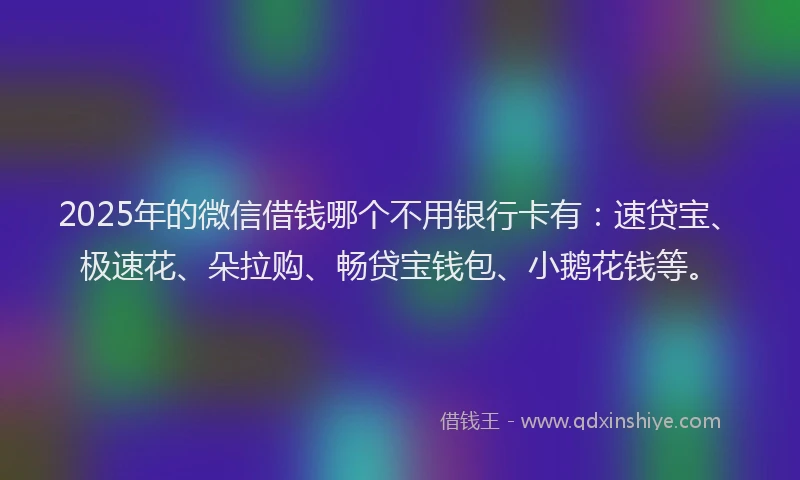 2025年的微信借钱哪个不用银行卡有：速贷宝、极速花、朵拉购、畅贷宝钱包、小鹅花钱等。