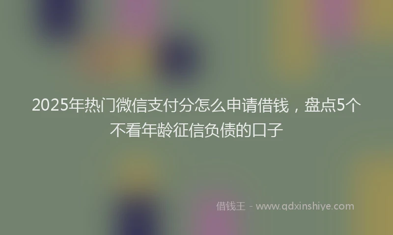 2025年热门微信支付分怎么申请借钱，盘点5个不看年龄征信负债的口子