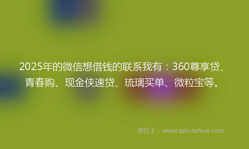2025年的微信想借钱的联系我有：360尊享贷、青春购、现金侠速贷、琉璃买单、微粒宝等。
