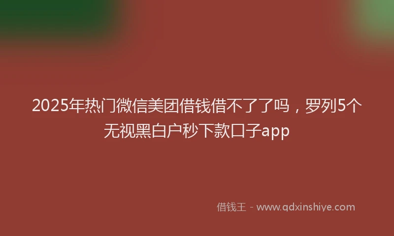 2025年热门微信美团借钱借不了了吗，罗列5个无视黑白户秒下款口子app