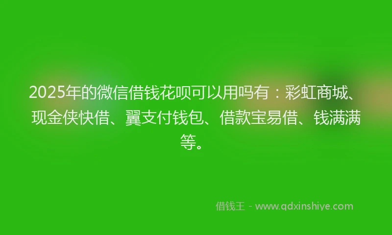 2025年的微信借钱花呗可以用吗有：彩虹商城、现金侠快借、翼支付钱包、借款宝易借、钱满满等。