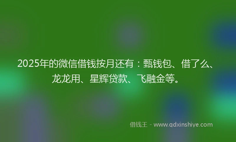 2025年的微信借钱按月还有：甄钱包、借了么、龙龙用、星辉贷款、飞融金等。