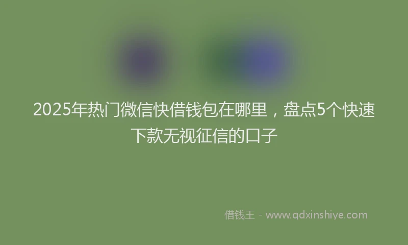 2025年热门微信快借钱包在哪里，盘点5个快速下款无视征信的口子