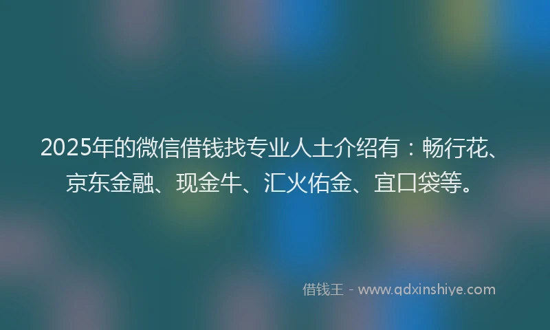 2025年的微信借钱找专业人土介绍有：畅行花、京东金融、现金牛、汇火佑金、宜口袋等。