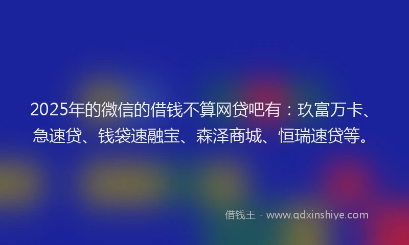 2025年的微信的借钱不算网贷吧有：玖富万卡、急速贷、钱袋速融宝、森泽商城、恒瑞速贷等。