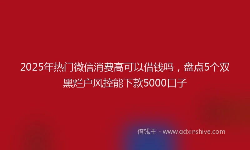 2025年热门微信消费高可以借钱吗，盘点5个双黑烂户风控能下款5000口子