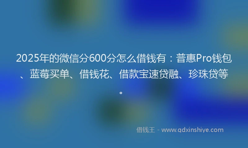 2025年的微信分600分怎么借钱有：普惠Pro钱包、蓝莓买单、借钱花、借款宝速贷融、珍珠贷等。