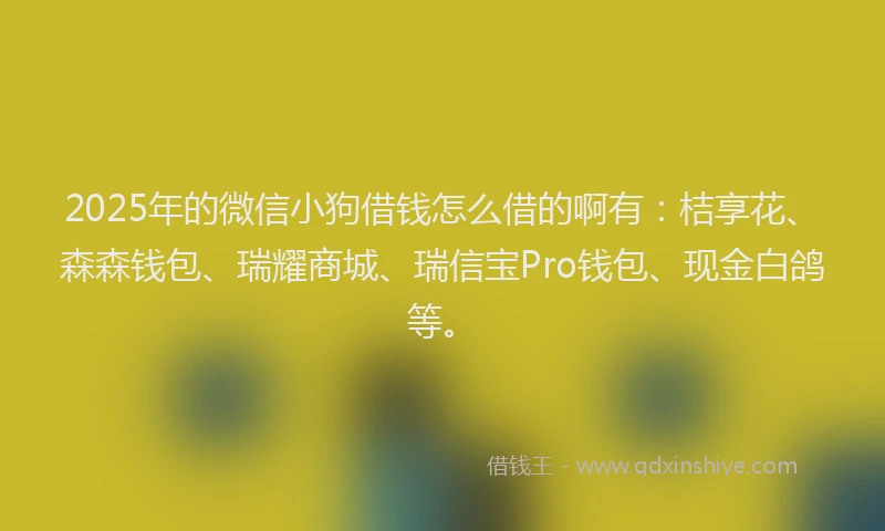 2025年的微信小狗借钱怎么借的啊有：桔享花、森森钱包、瑞耀商城、瑞信宝Pro钱包、现金白鸽等。