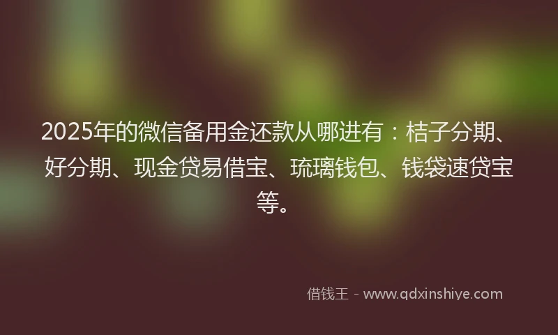 2025年的微信备用金还款从哪进有：桔子分期、好分期、现金贷易借宝、琉璃钱包、钱袋速贷宝等。