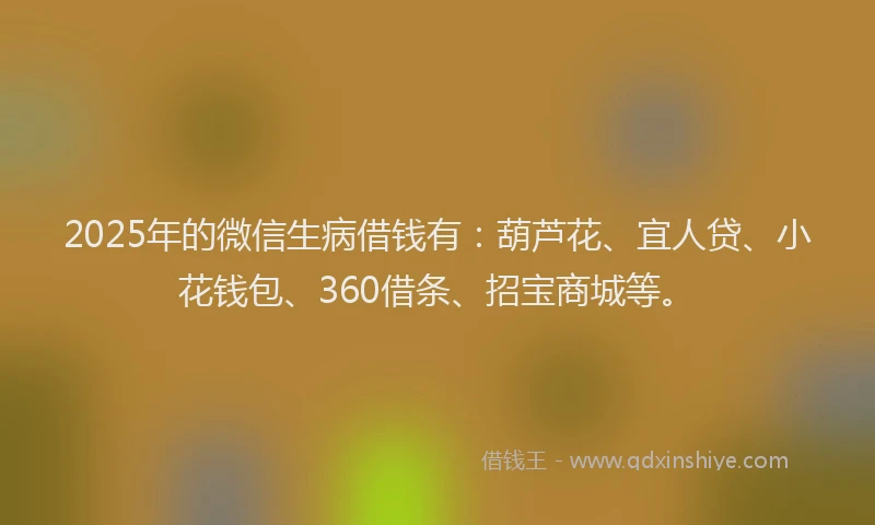 2025年的微信生病借钱有：葫芦花、宜人贷、小花钱包、360借条、招宝商城等。
