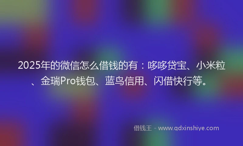 2025年的微信怎么借钱的有：哆哆贷宝、小米粒、金瑞Pro钱包、蓝鸟信用、闪借快行等。