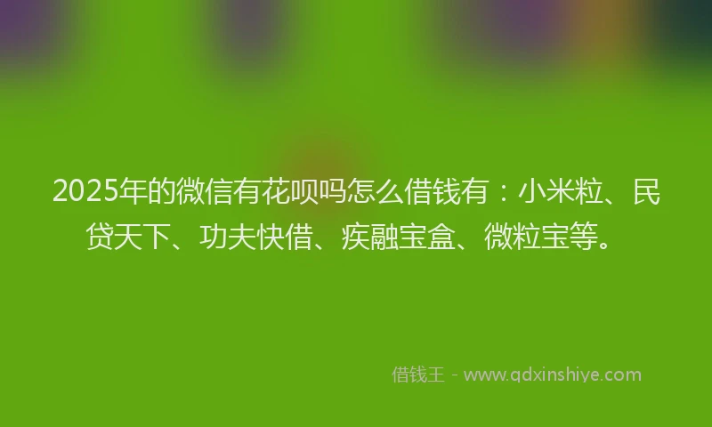 2025年的微信有花呗吗怎么借钱有：小米粒、民贷天下、功夫快借、疾融宝盒、微粒宝等。