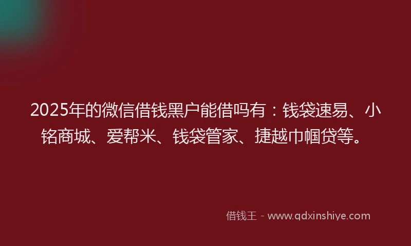2025年的微信借钱黑户能借吗有：钱袋速易、小铭商城、爱帮米、钱袋管家、捷越巾帼贷等。