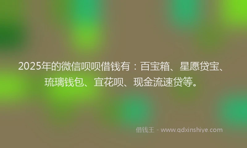 2025年的微信呗呗借钱有：百宝箱、星愿贷宝、琉璃钱包、宜花呗、现金流速贷等。