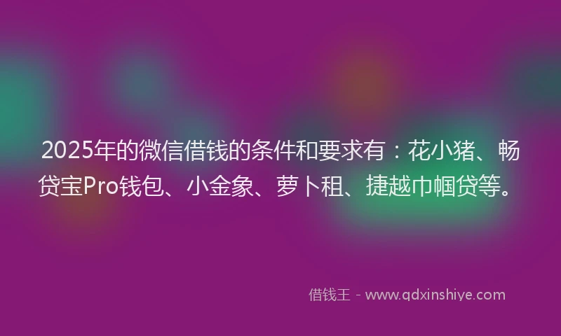 2025年的微信借钱的条件和要求有：花小猪、畅贷宝Pro钱包、小金象、萝卜租、捷越巾帼贷等。