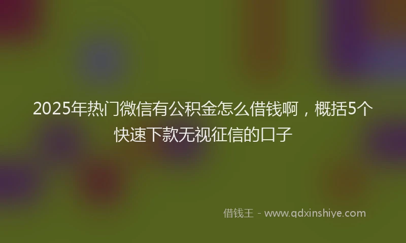 2025年热门微信有公积金怎么借钱啊，概括5个快速下款无视征信的口子