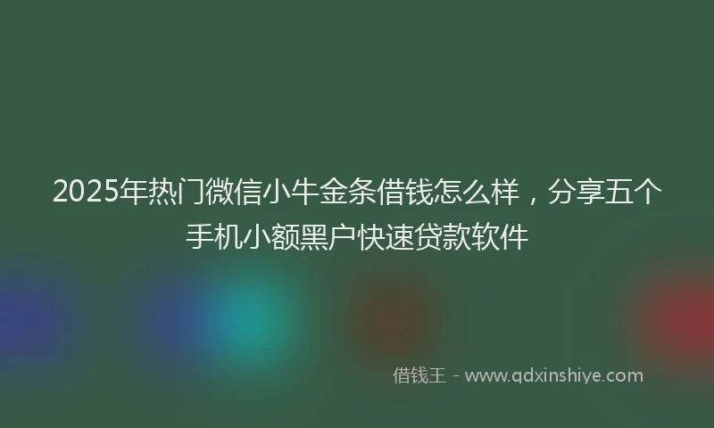 2025年热门微信小牛金条借钱怎么样，分享五个手机小额黑户快速贷款软件