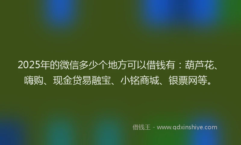 2025年的微信多少个地方可以借钱有：葫芦花、嗨购、现金贷易融宝、小铭商城、银票网等。