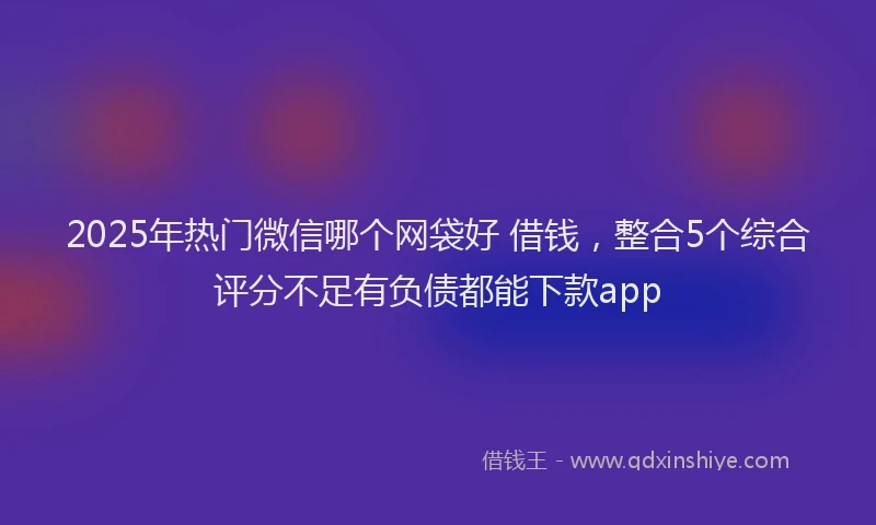 2025年热门微信哪个网袋好 借钱，整合5个综合评分不足有负债都能下款app