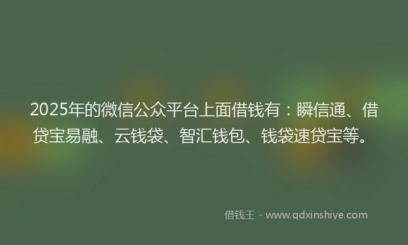 2025年的微信公众平台上面借钱有：瞬信通、借贷宝易融、云钱袋、智汇钱包、钱袋速贷宝等。