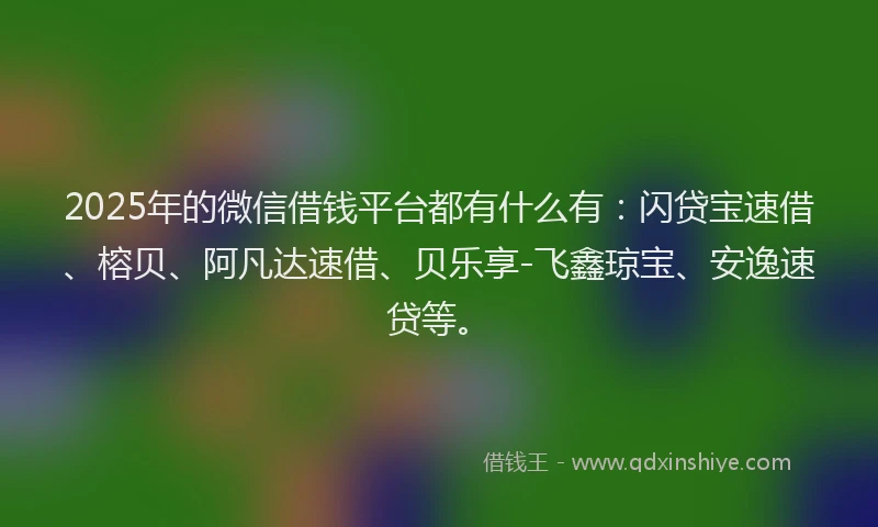 2025年的微信借钱平台都有什么有：闪贷宝速借、榕贝、阿凡达速借、贝乐享-飞鑫琼宝、安逸速贷等。