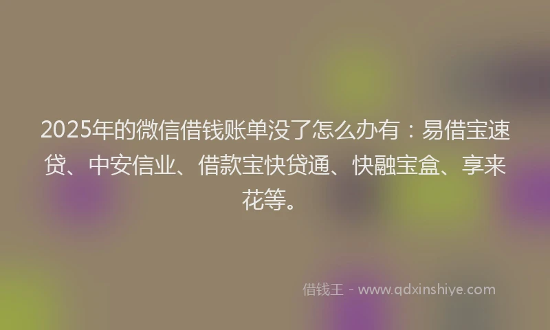 2025年的微信借钱账单没了怎么办有：易借宝速贷、中安信业、借款宝快贷通、快融宝盒、享来花等。