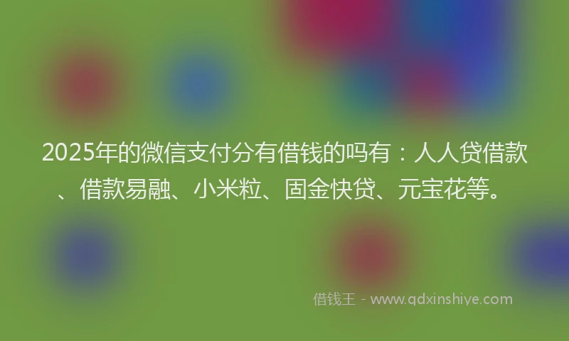 2025年的微信支付分有借钱的吗有：人人贷借款、借款易融、小米粒、固金快贷、元宝花等。