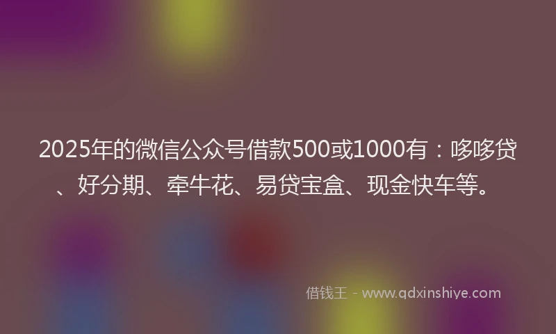 2025年的微信公众号借款500或1000有：哆哆贷、好分期、牵牛花、易贷宝盒、现金快车等。