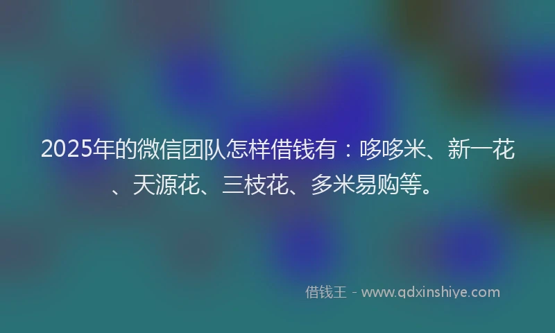 2025年的微信团队怎样借钱有：哆哆米、新一花、天源花、三枝花、多米易购等。