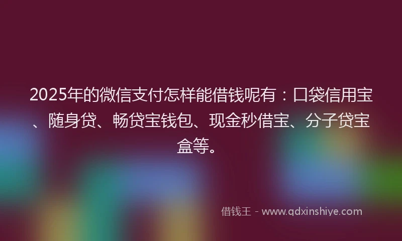 2025年的微信支付怎样能借钱呢有：口袋信用宝、随身贷、畅贷宝钱包、现金秒借宝、分子贷宝盒等。