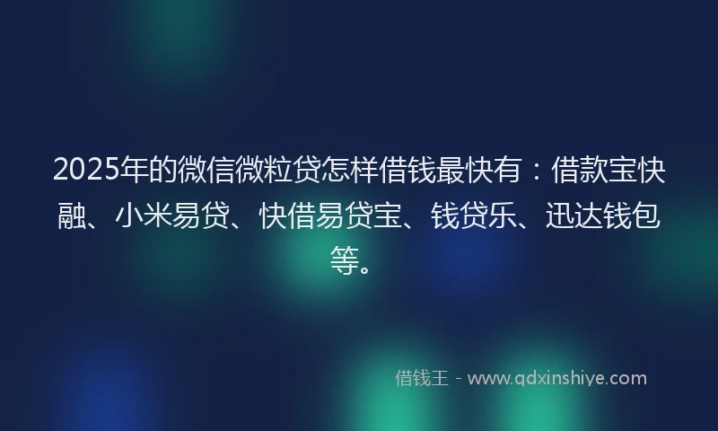 2025年的微信微粒贷怎样借钱最快有：借款宝快融、小米易贷、快借易贷宝、钱贷乐、迅达钱包等。