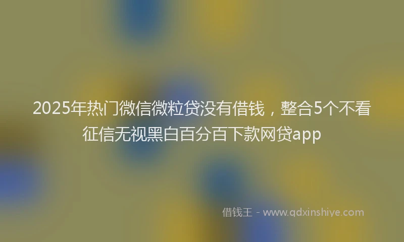 2025年热门微信微粒贷没有借钱，整合5个不看征信无视黑白百分百下款网贷app