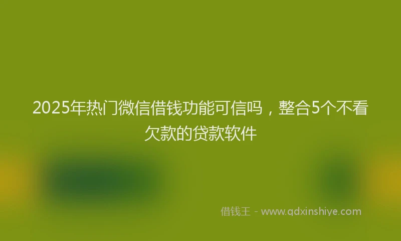 2025年热门微信借钱功能可信吗，整合5个不看欠款的贷款软件